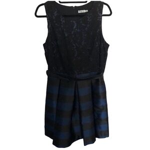 NWT Eliza J Missy fit and flare striped lace dress
